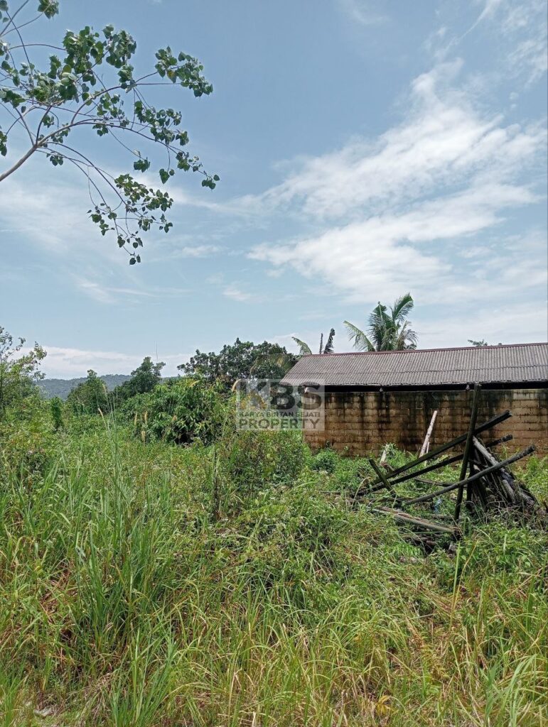 Photo 2025 08 23 13 23 08