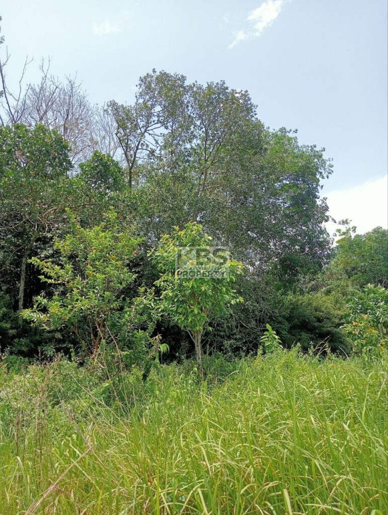 Photo 2025 08 23 13 23 09