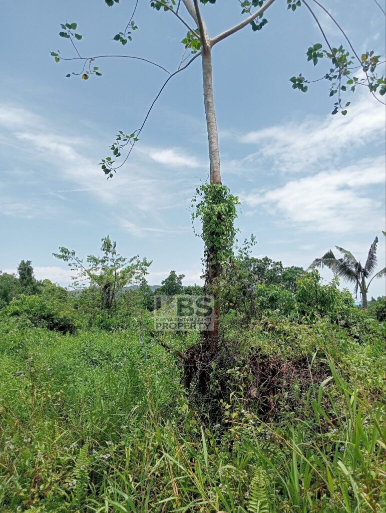 Photo 2025 08 23 13 23 11 2