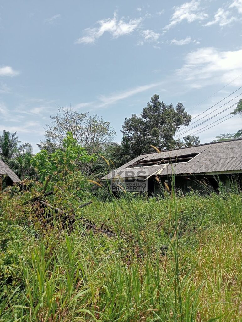 Photo 2025 08 23 13 23 12 2