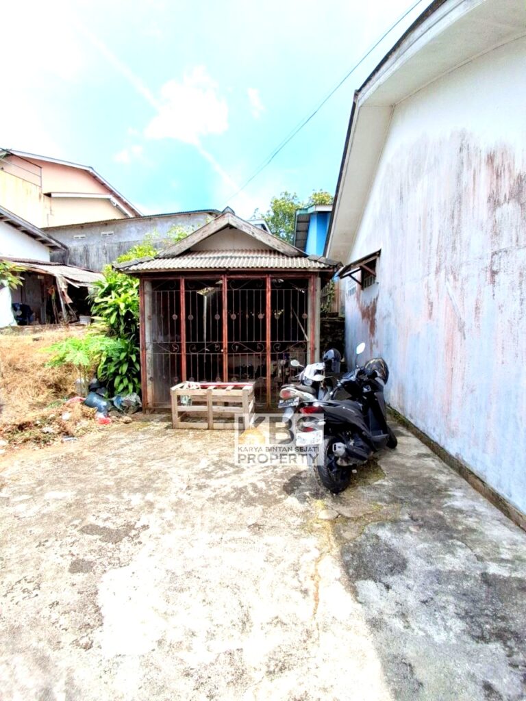 Photo 2025 08 25 11 59 14