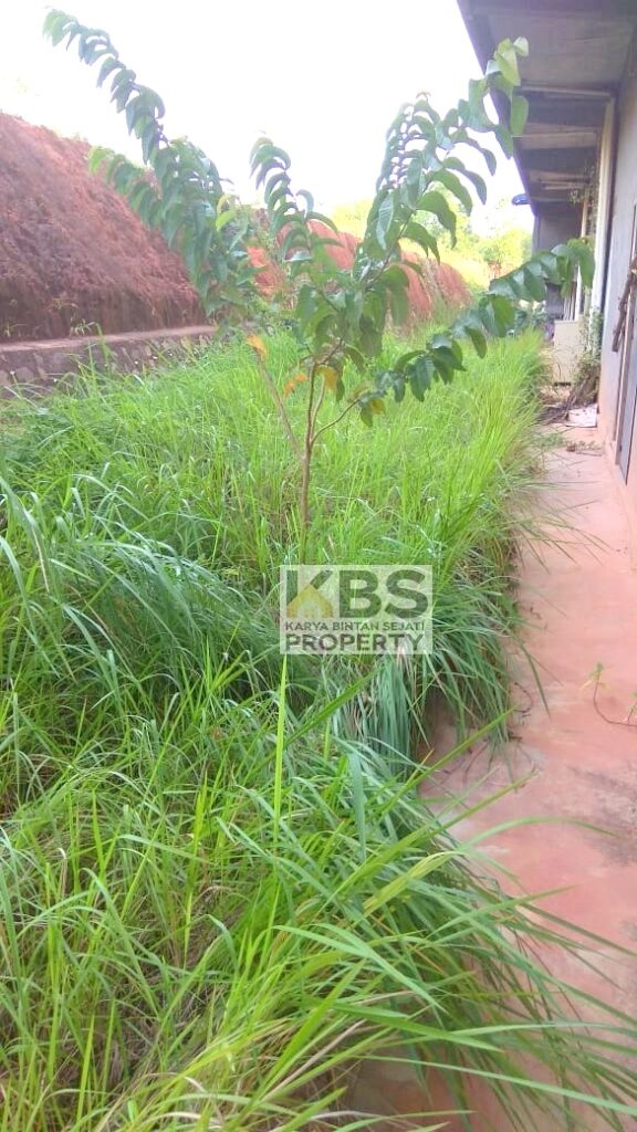 761d94f5 6541 4db6 a8f6 f5ac205214f5