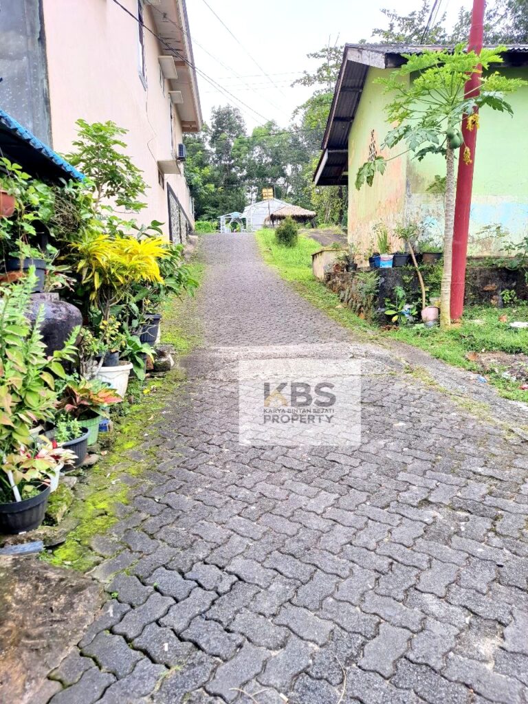 Photo 2022 11 18 16 15 17