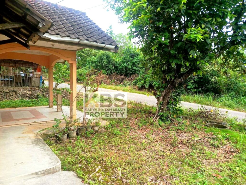 Photo 2024 07 06 12 16 04