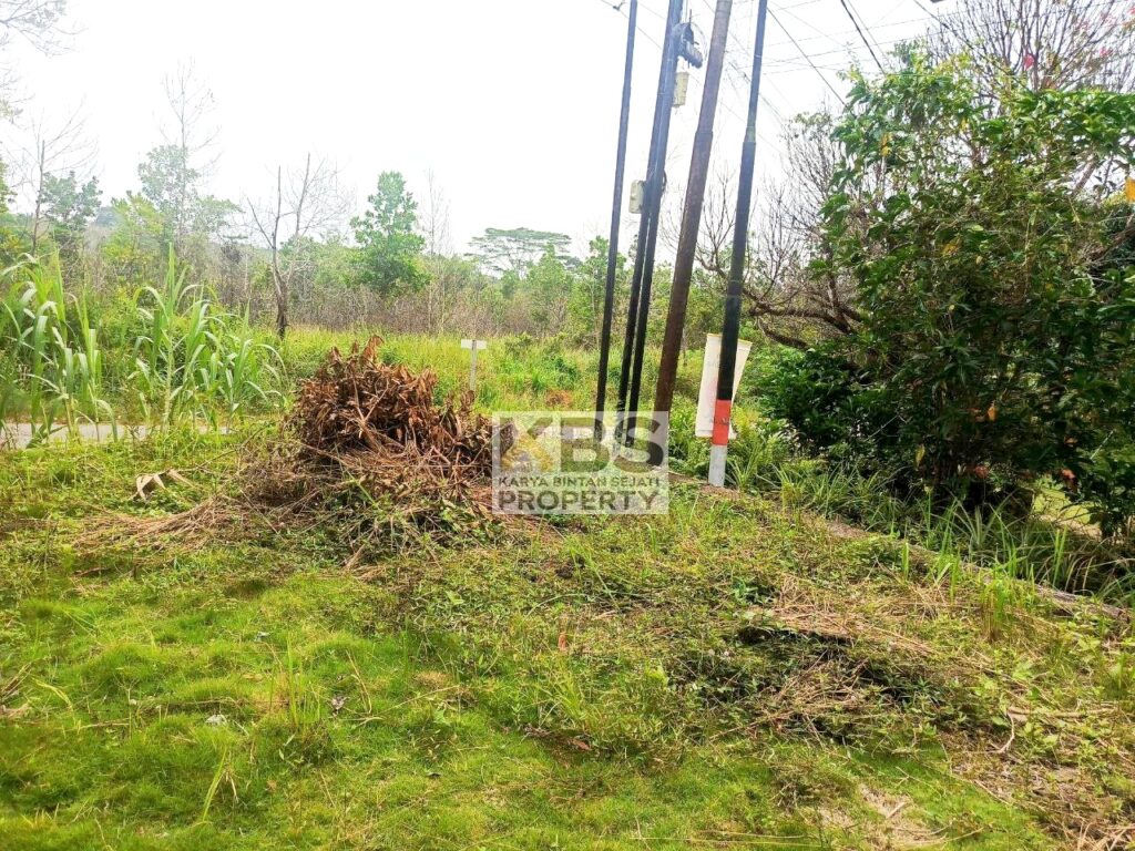 Photo 2024 07 06 12 16 06