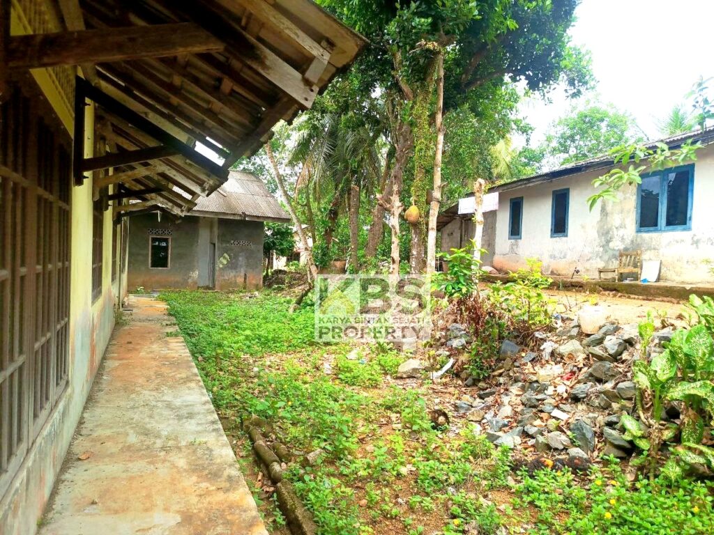 Photo 2024 07 06 12 16 14