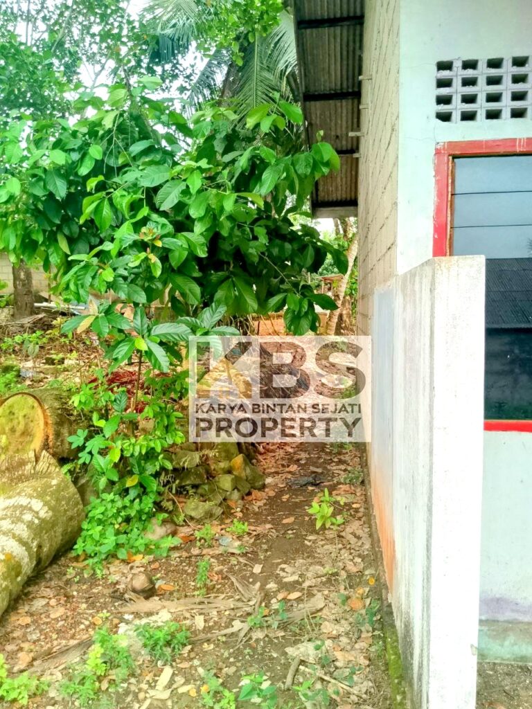 Photo 2024 07 07 06 46 59 4