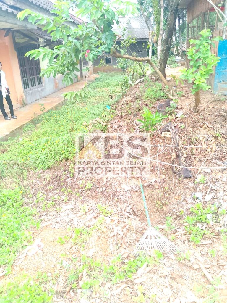 Photo 2024 07 07 06 46 59