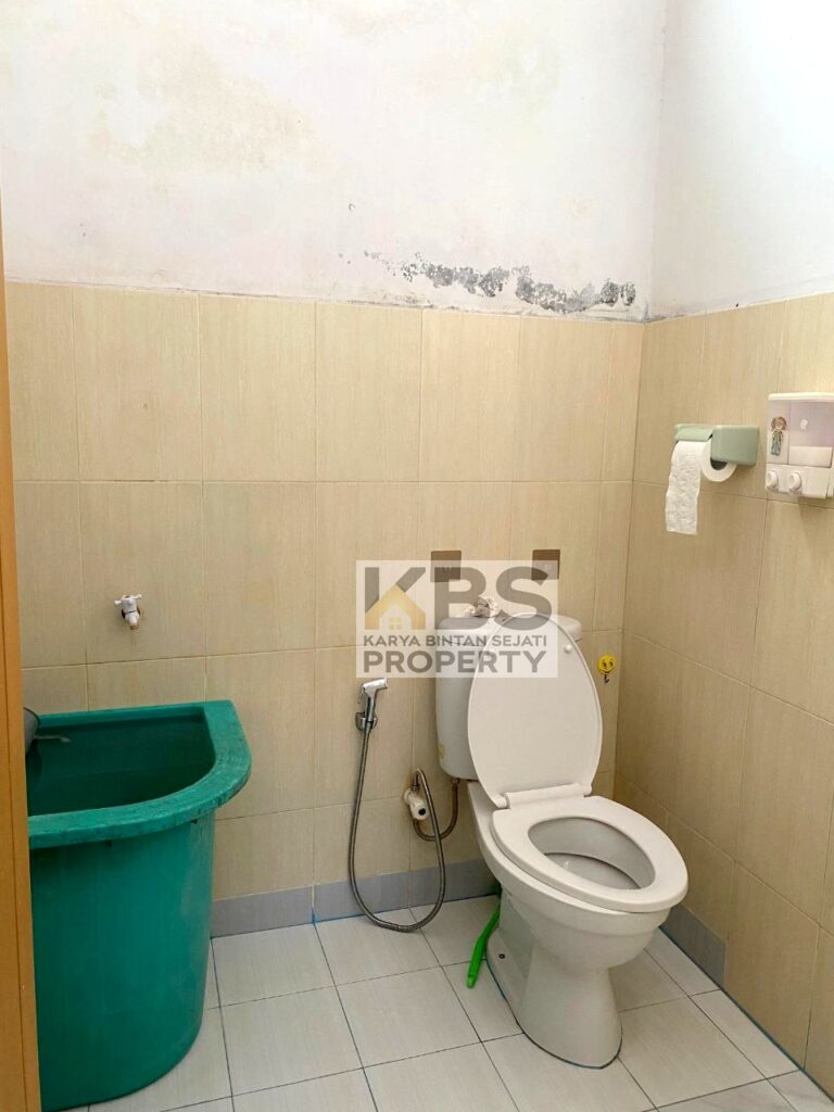 Photo 2025 02 04 19 51 36