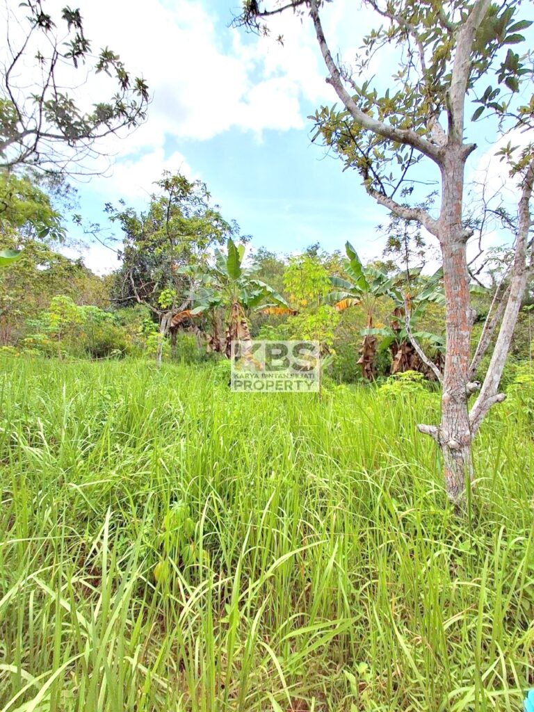 Photo 2025 07 22 21 25 28