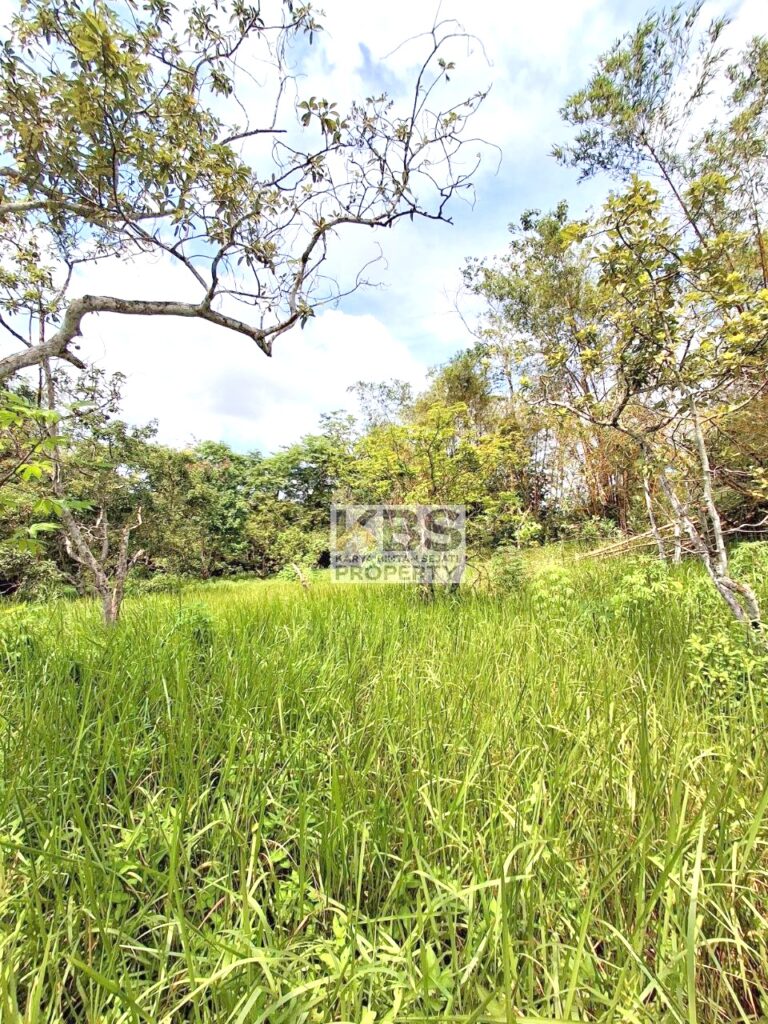 Photo 2025 07 22 21 25 32