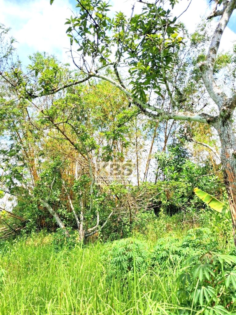 Photo 2025 07 22 21 25 35