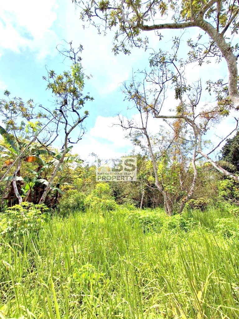 Photo 2025 07 22 21 25 38