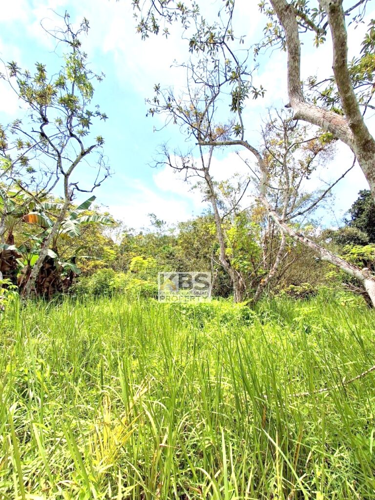 Photo 2025 07 22 21 25 42