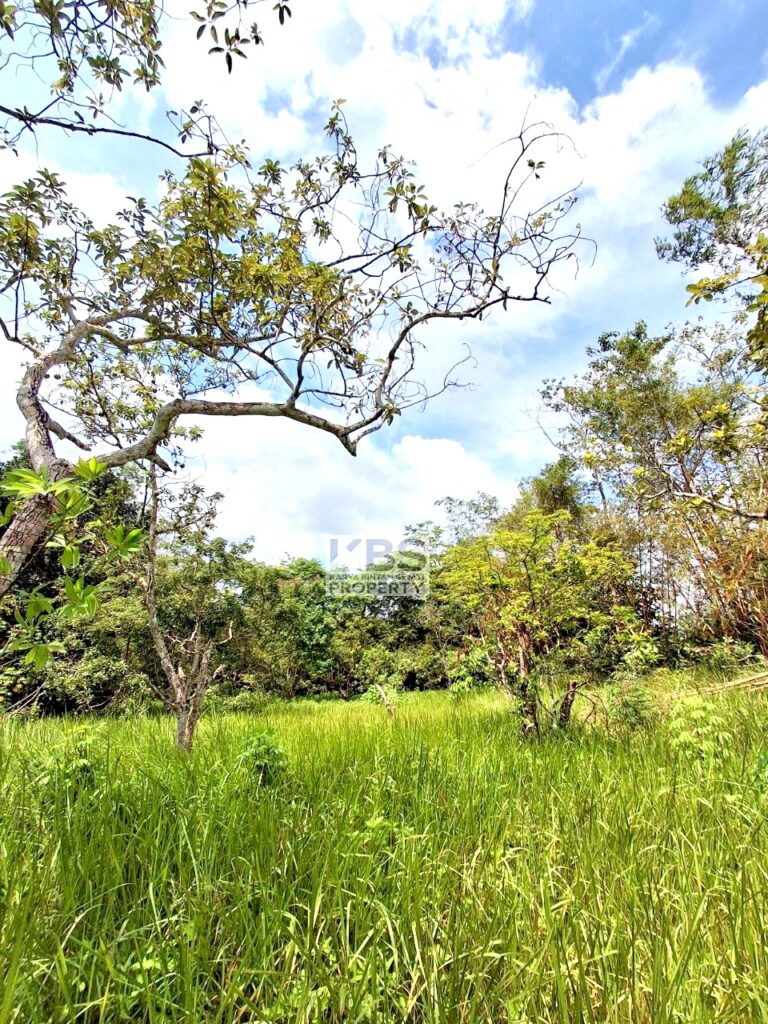 Photo 2025 07 22 21 25 45