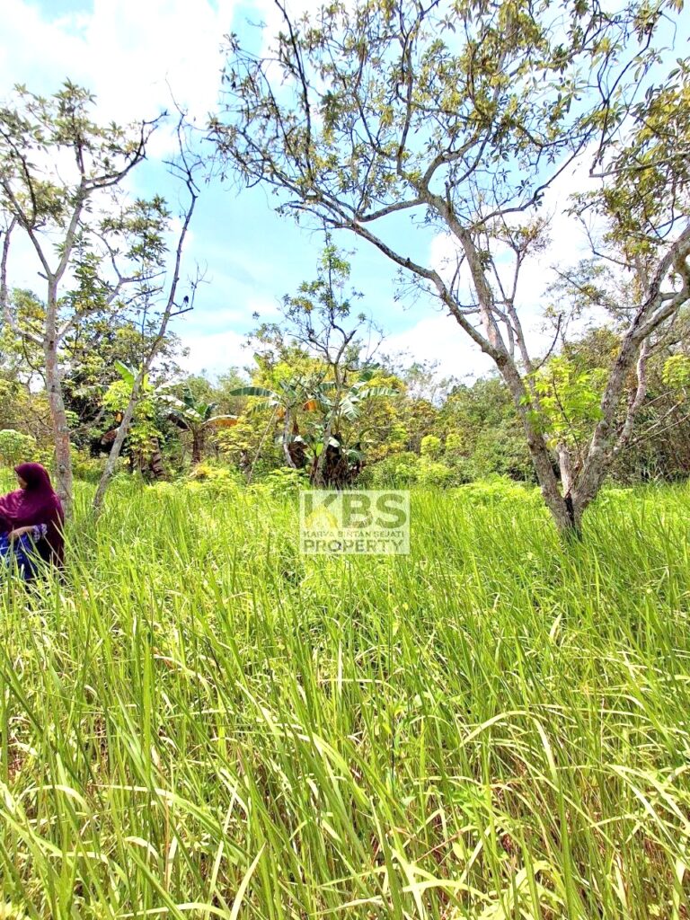 Photo 2025 07 22 21 25 48