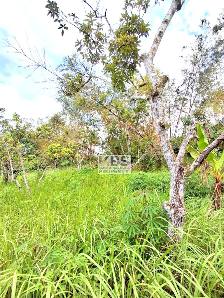 Photo 2025 07 22 21 25 51