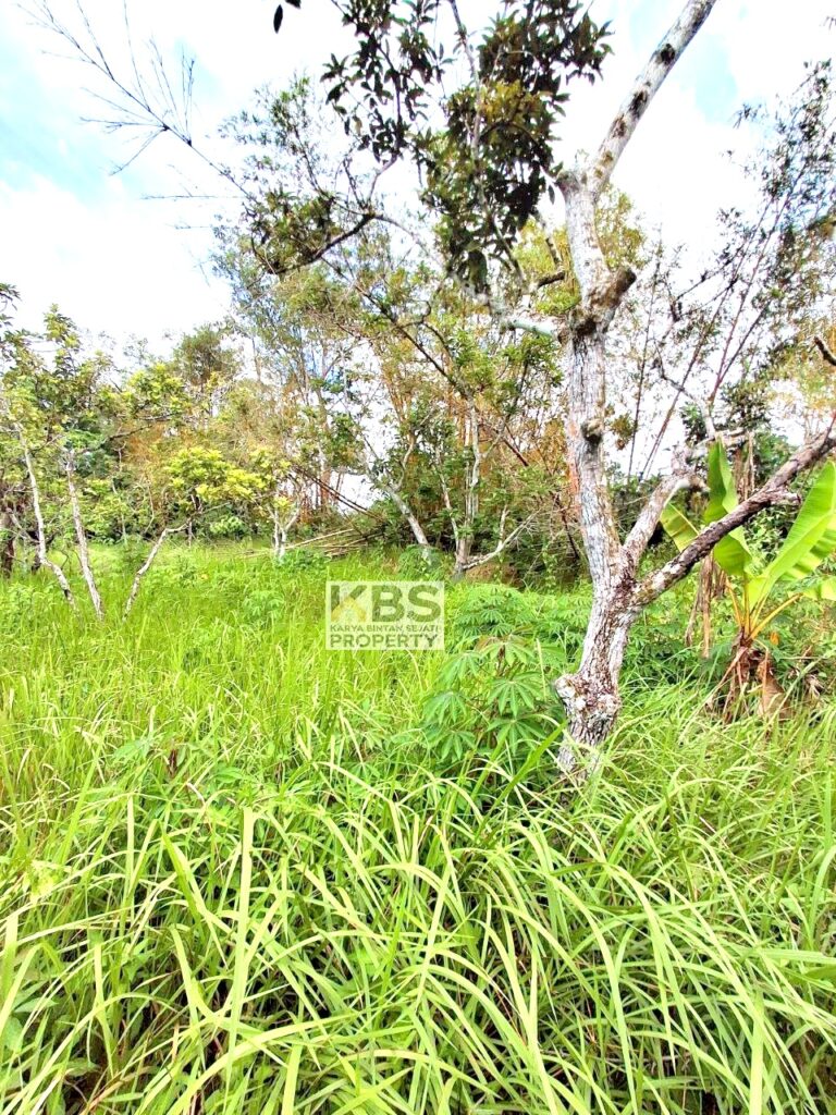 Photo 2025 07 22 21 25 54