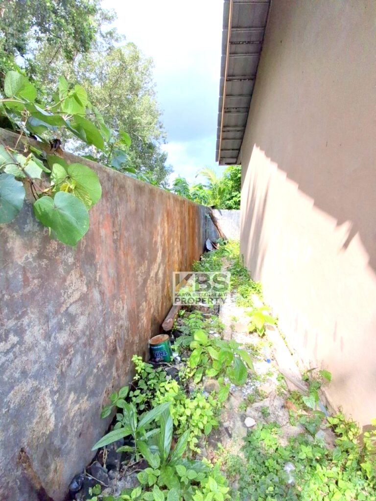 Photo 2025 07 31 14 43 00