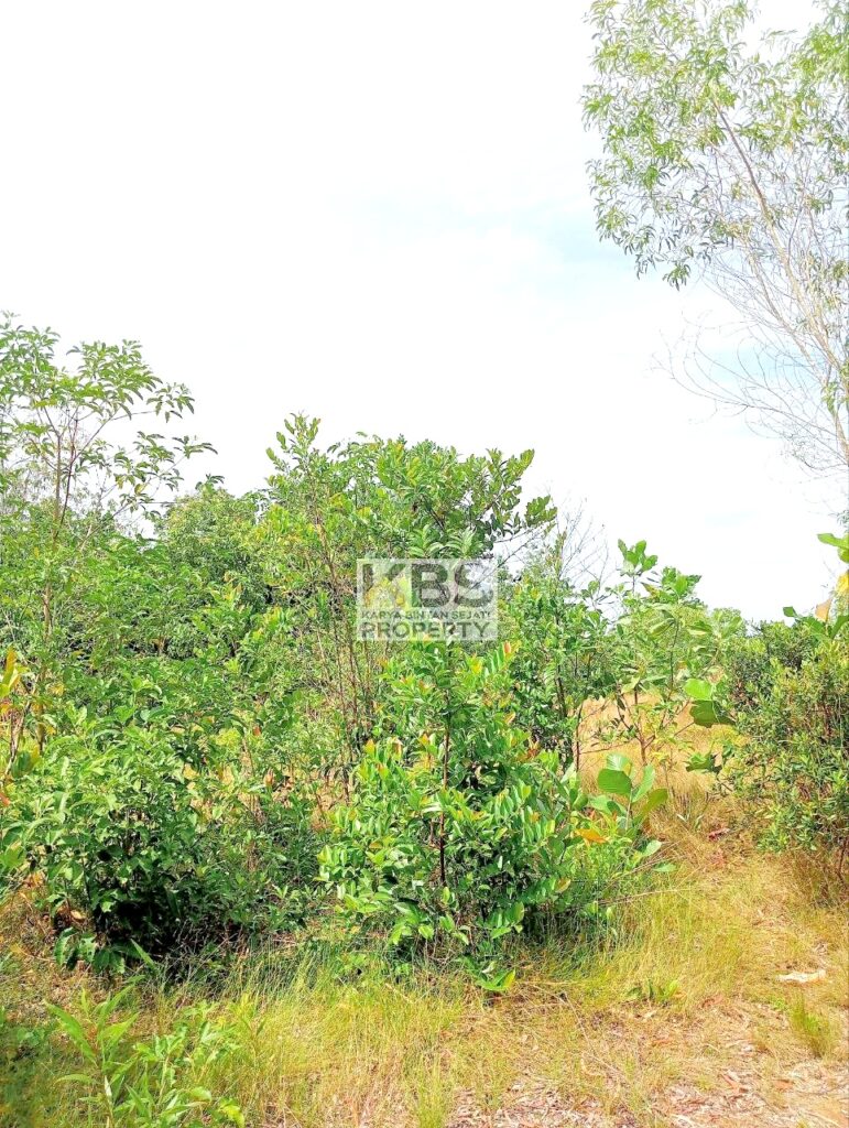 Photo 2025 08 25 11 37 51 2