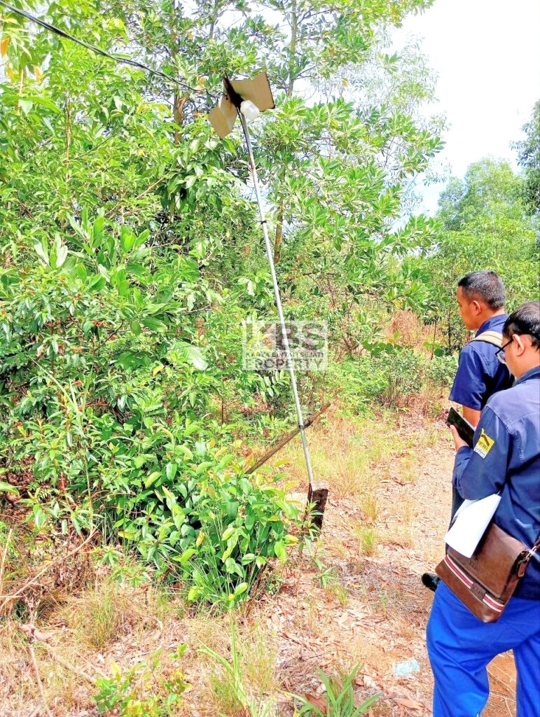 Photo 2025 08 25 11 37 51 3