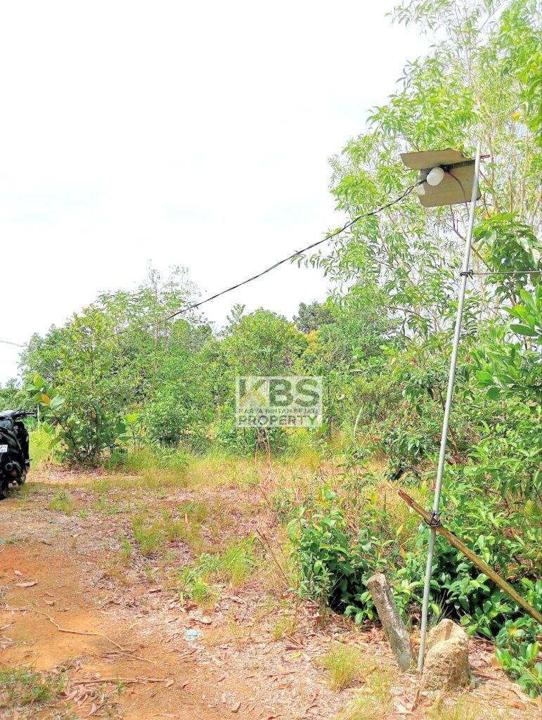 Photo 2025 08 25 11 37 51 4