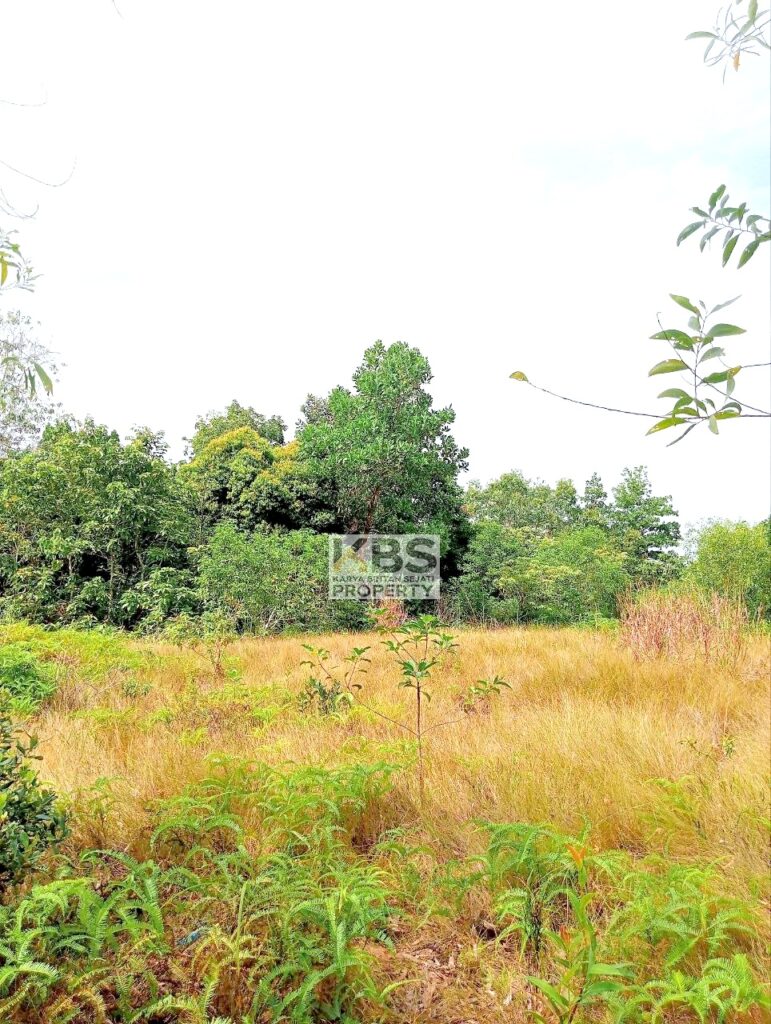 Photo 2025 08 25 11 37 51