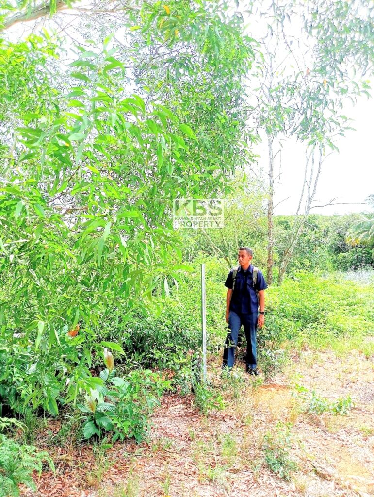 Photo 2025 08 25 11 37 52 2