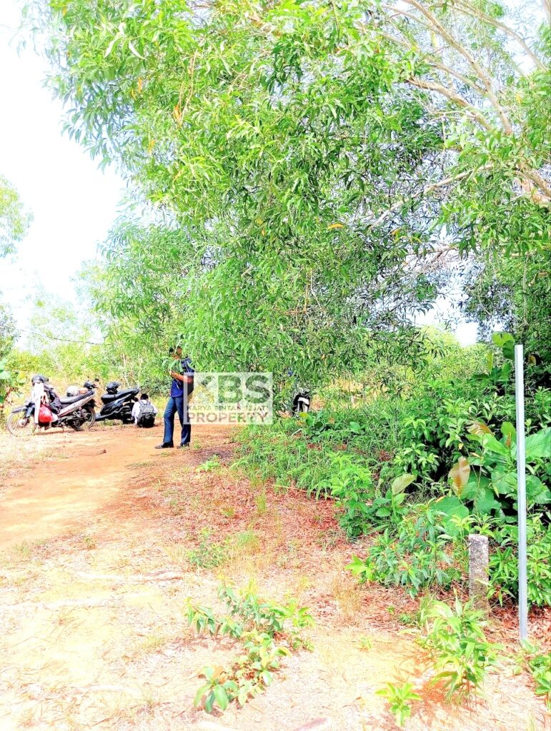 Photo 2025 08 25 11 37 52 3