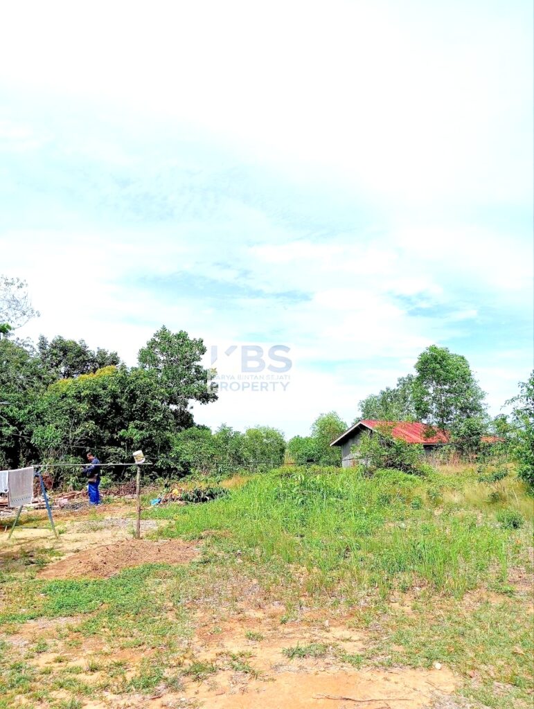 Photo 2025 08 25 11 37 52 4