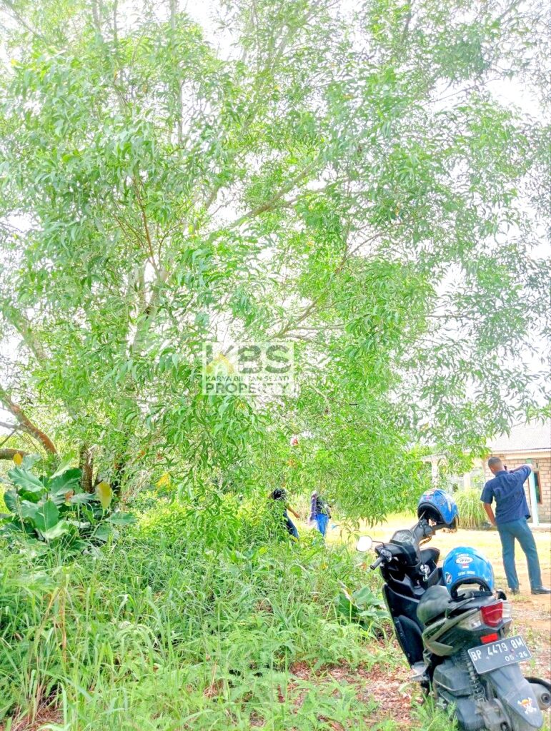 Photo 2025 08 25 11 37 52