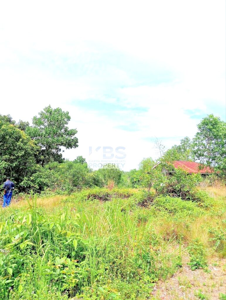 Photo 2025 08 25 11 37 53