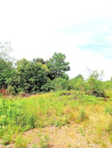 Photo 2025 08 25 11 37 54