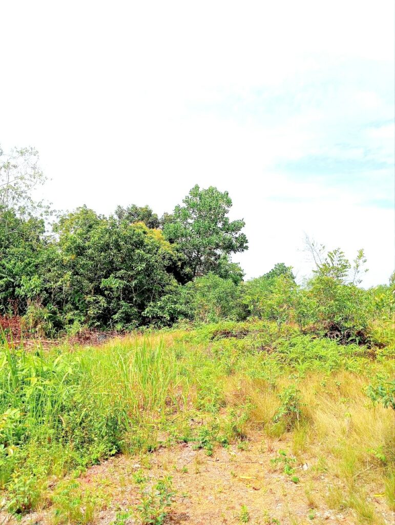 Photo 2025 08 25 11 37 54