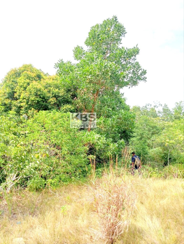 Photo 2025 08 25 11 37 56