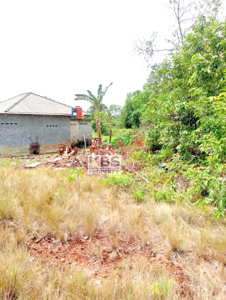 Photo 2025 08 25 11 37 57 2