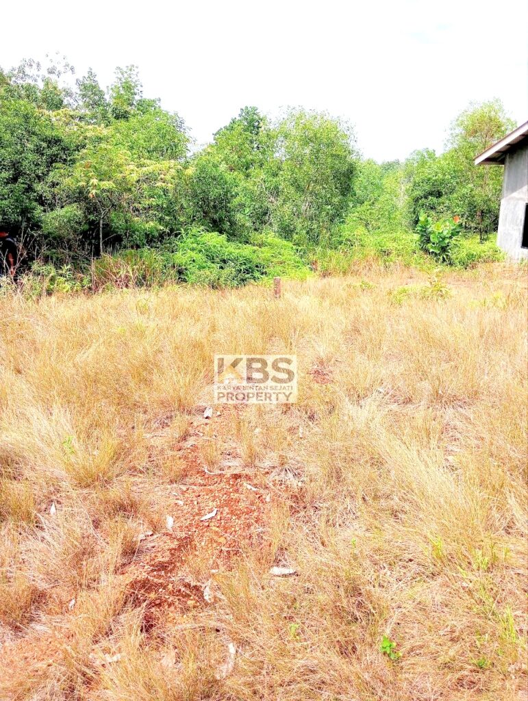 Photo 2025 08 25 11 37 57