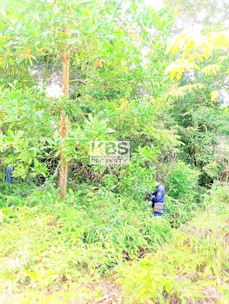 Photo 2025 08 25 11 37 58