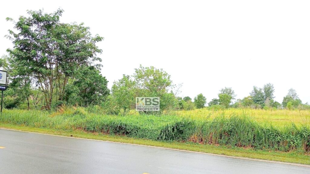 Photo 2025 09 04 16 08 47 3