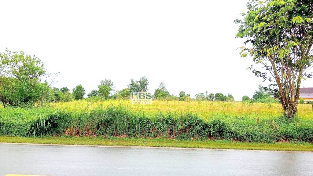 Photo 2025 09 04 16 08 47 4