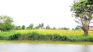 Photo 2025 09 04 16 08 47 4