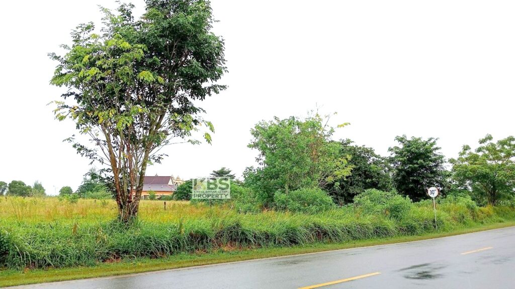 Photo 2025 09 04 16 08 48