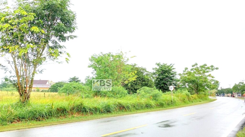 Photo 2025 09 04 16 08 48 2