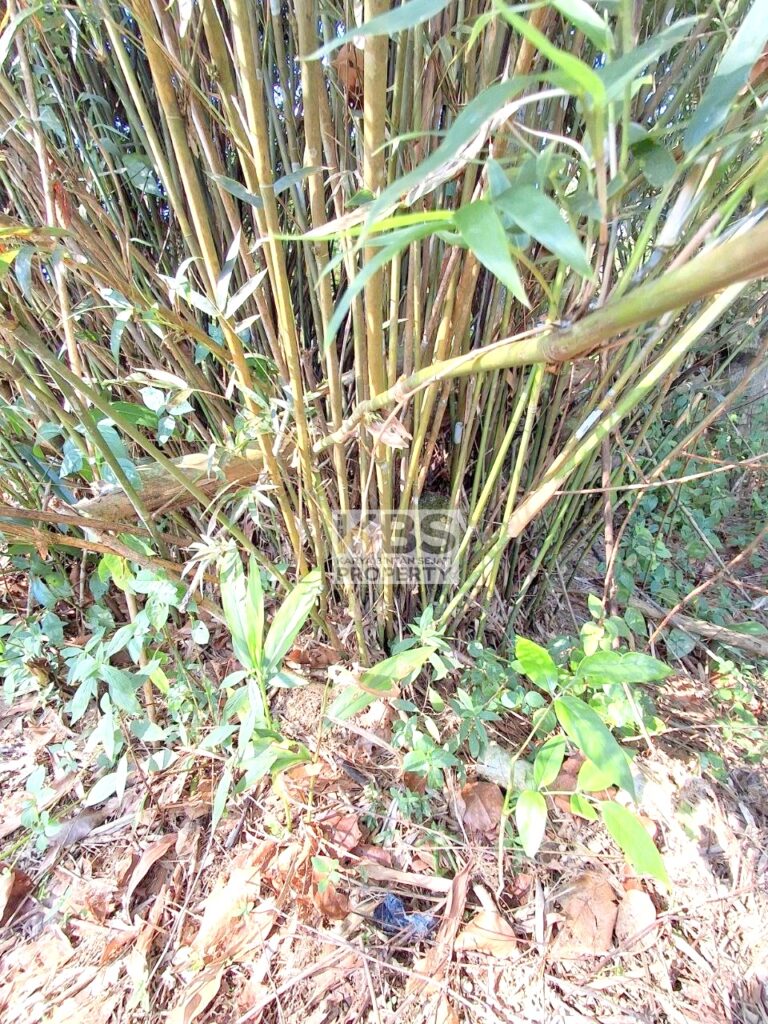 Photo 2025 09 09 20 21 03 2