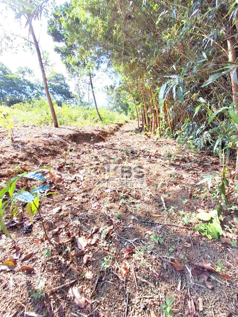 Photo 2025 09 09 20 21 03