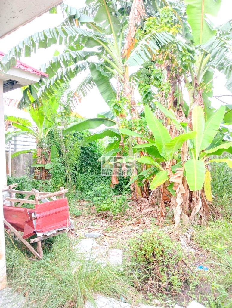 Photo 2025 09 12 17 05 29 5