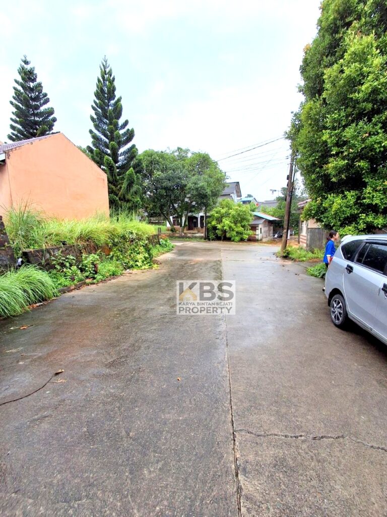 Photo 2025 09 17 09 49 46 2