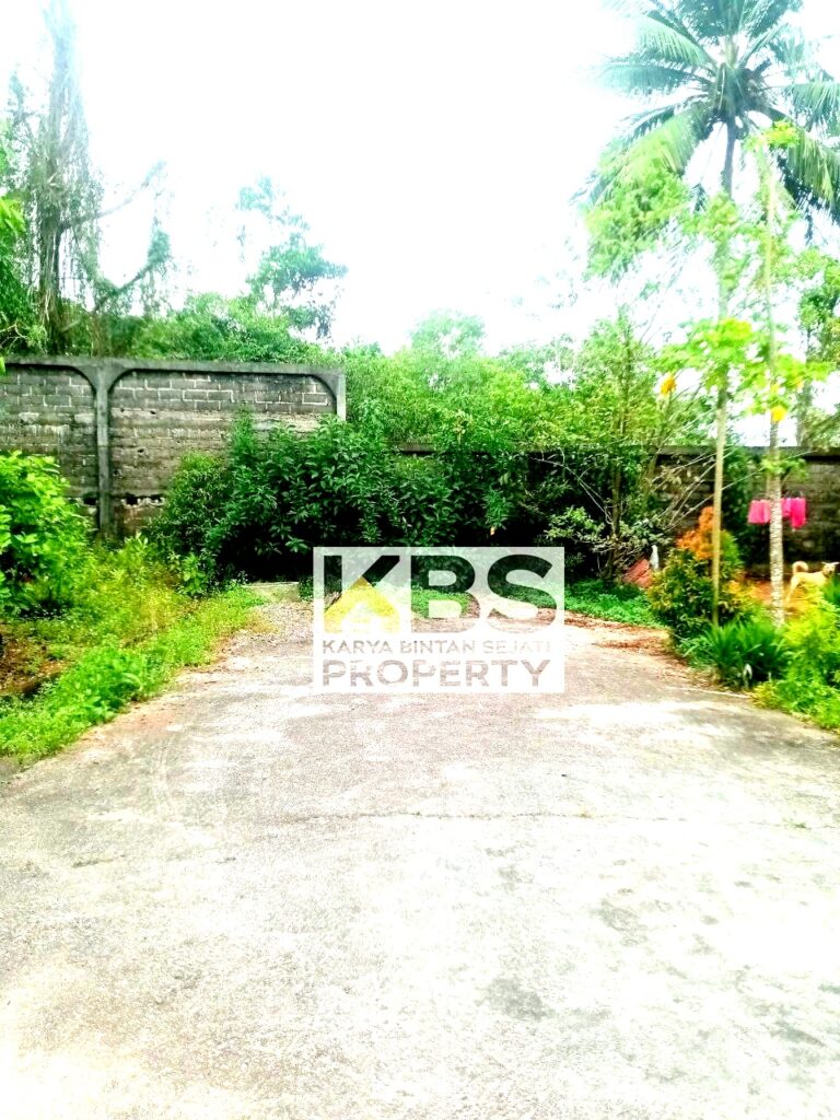 Photo 2024 09 20 08 52 31 2