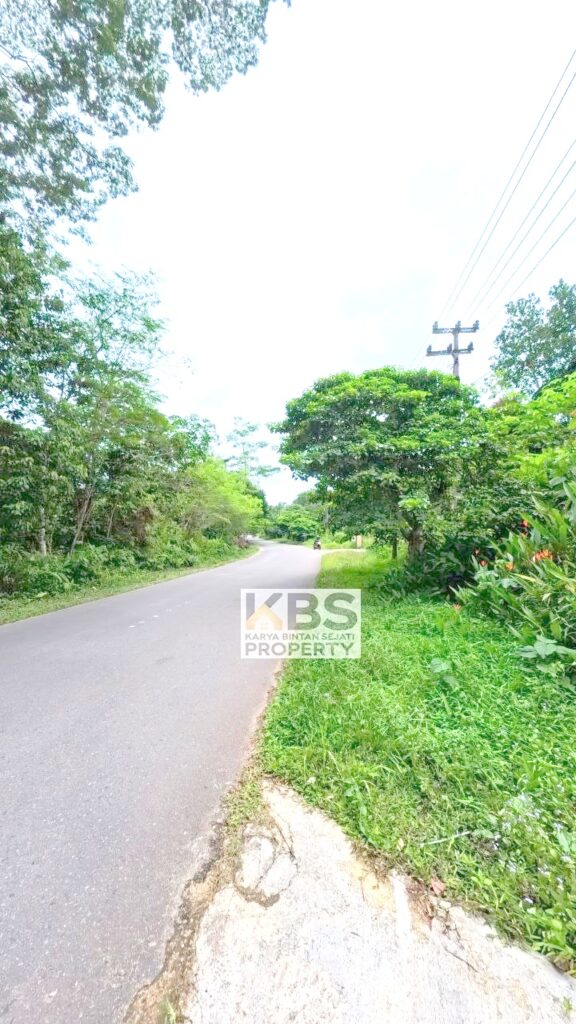 Photo 2025 10 13 13 26 59 8