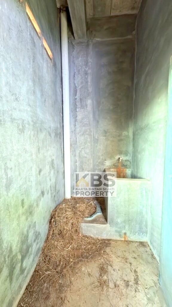 Photo 2025 10 30 10 01 46 10